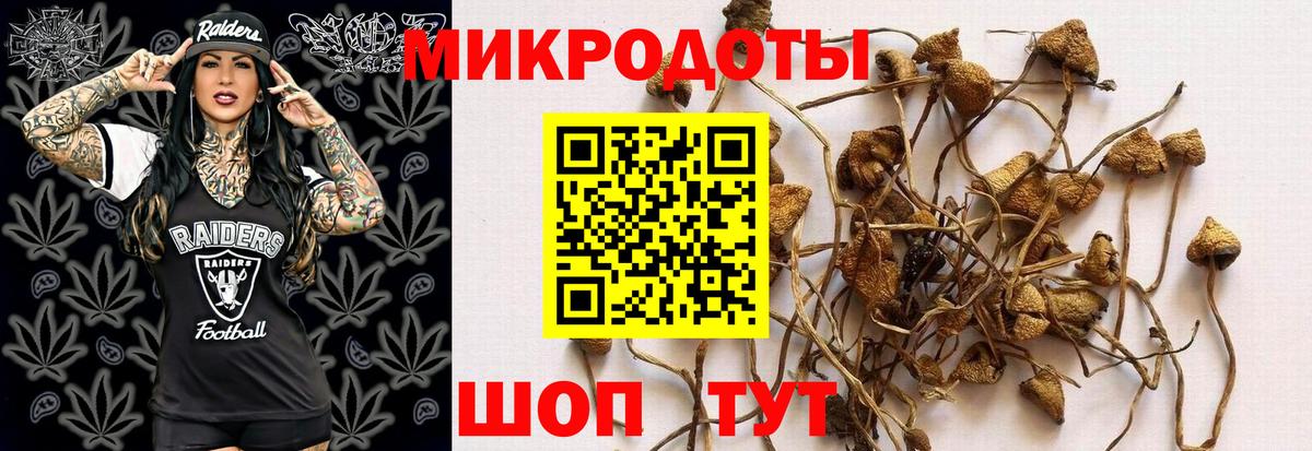 Югорск  Галлюциногенные грибы прущие грибы  Вход с VPN 